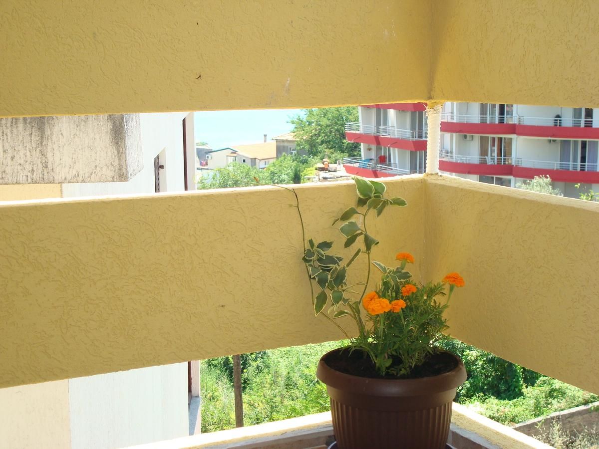Апартаменты Apartments Cejovic Улцинь-43
