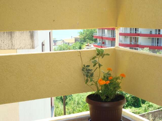 Апартаменты Apartments Cejovic Улцинь-42